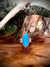 Load image into Gallery viewer, Wild Rag - Classy Western Paisley- Edged w/ Turquoise #513